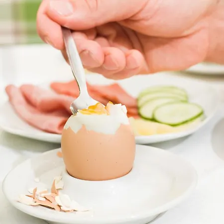 Gaestehaus Ferk - Fruehstueckspension, 게스트하우스