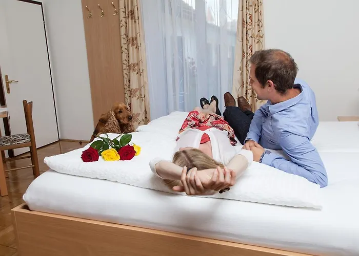 Gaestehaus Ferk - Fruehstueckspension, Bed & Breakfast 4* Bad Radkersburg